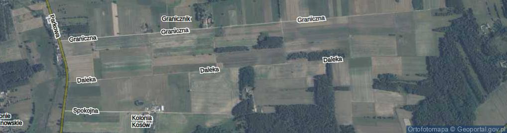 Zdjęcie satelitarne Daleka ul.